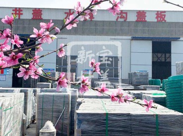 花滿枝頭，春意盎然